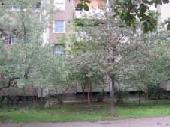 ALB�RLET KIAD�